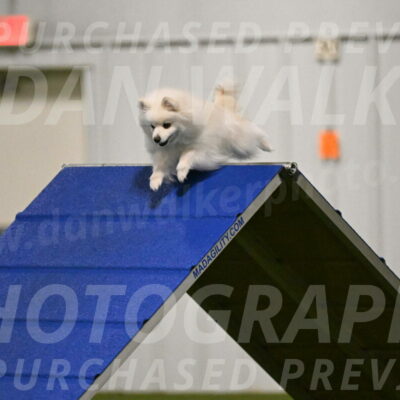 Zoey-Denise-Schneider-08541