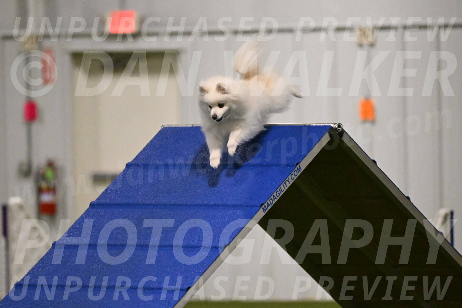 Zoey-Denise-Schneider-08542