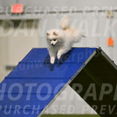 Zoey-Denise-Schneider-08542