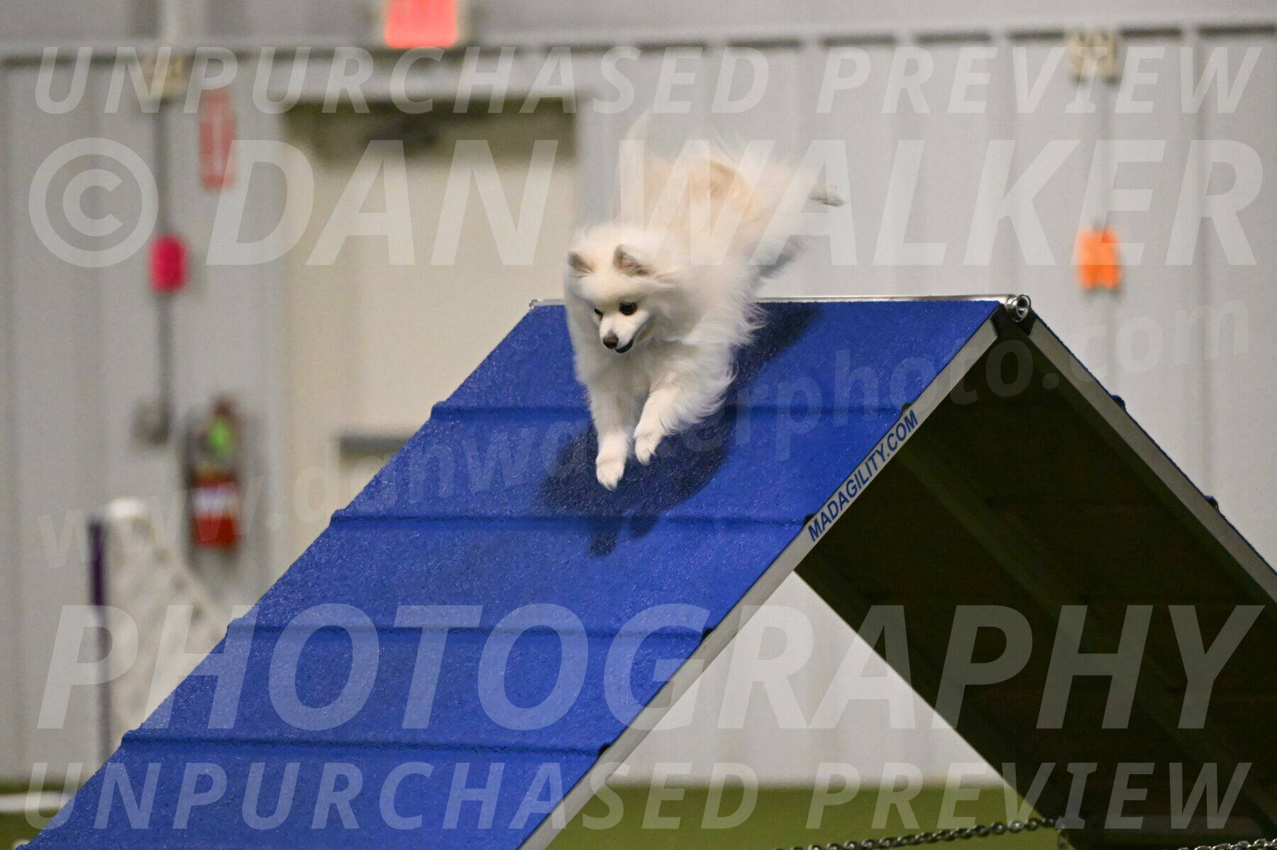 Zoey-Denise-Schneider-08543