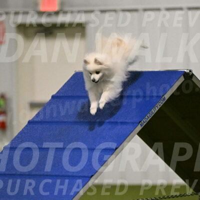 Zoey-Denise-Schneider-08543