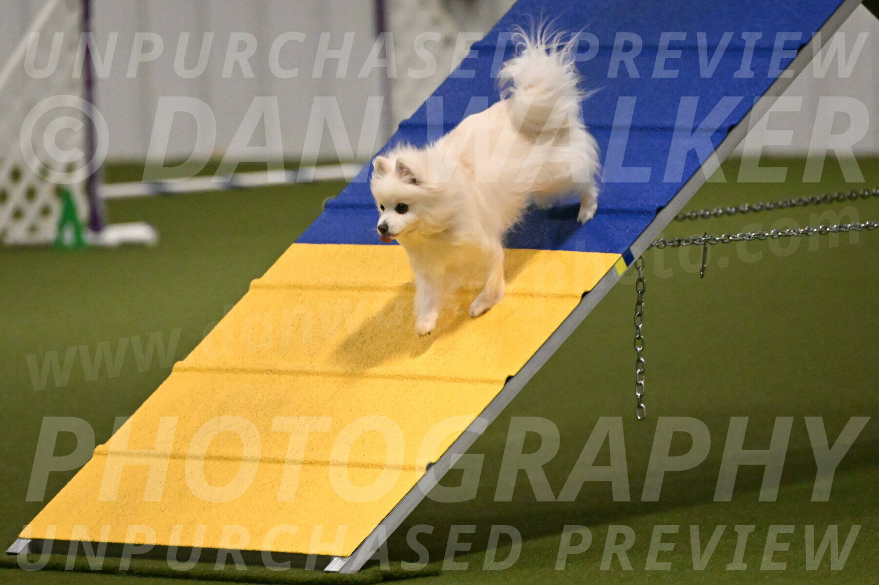 Zoey-Denise-Schneider-08544