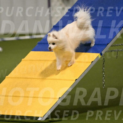 Zoey-Denise-Schneider-08544