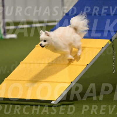 Zoey-Denise-Schneider-08545