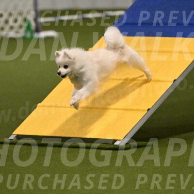 Zoey-Denise-Schneider-08546