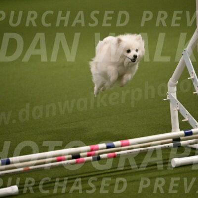 Zoey-Denise-Schneider-08547