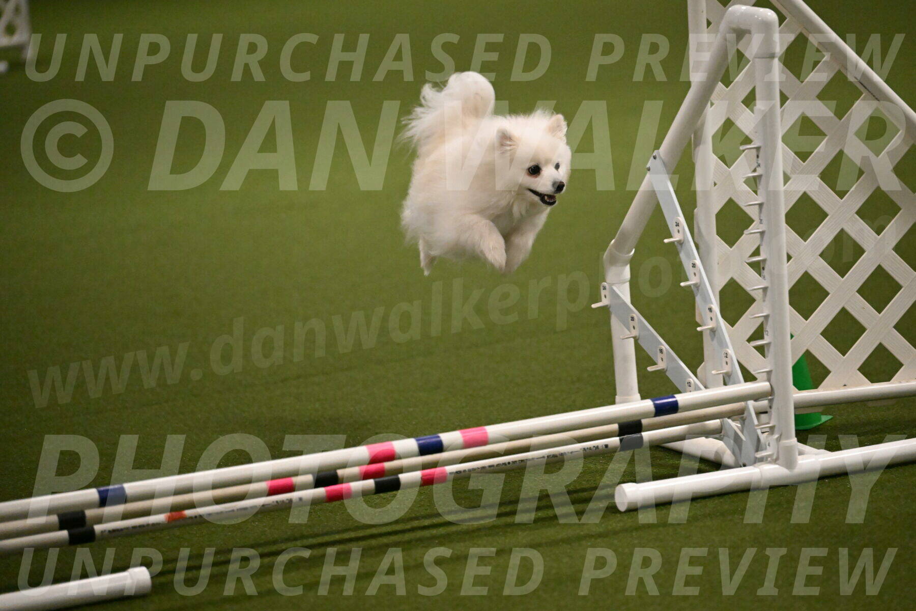 Zoey-Denise-Schneider-08548