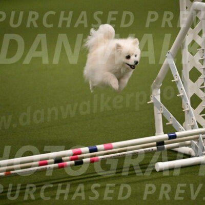 Zoey-Denise-Schneider-08548