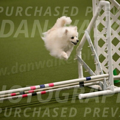 Zoey-Denise-Schneider-08549