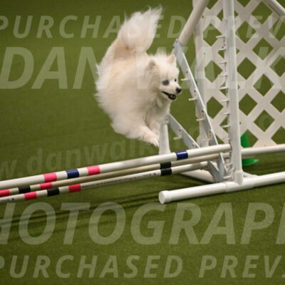 Zoey-Denise-Schneider-08550