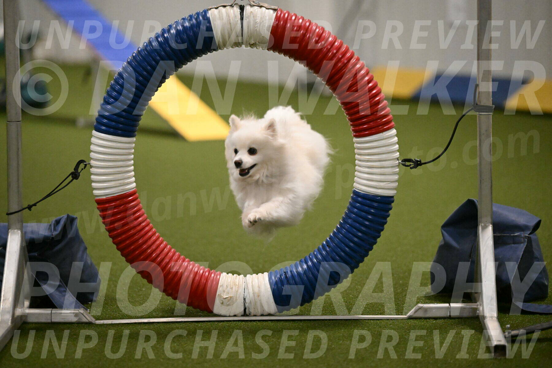 Zoey-Denise-Schneider-08551