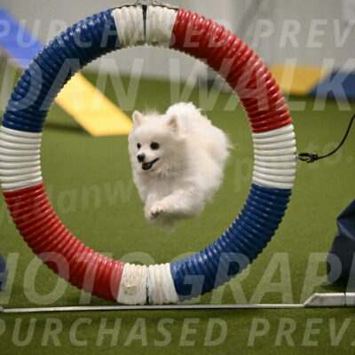 Zoey-Denise-Schneider-08551