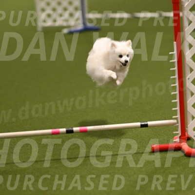 Zoey-Denise-Schneider-08552