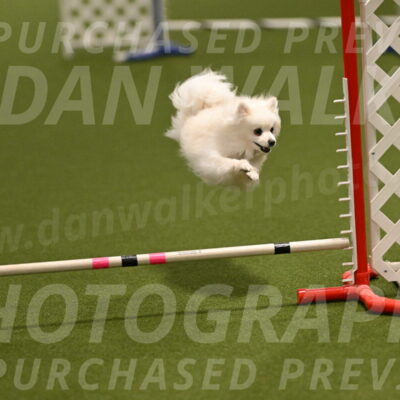 Zoey-Denise-Schneider-08553