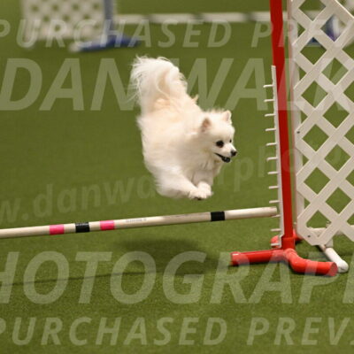 Zoey-Denise-Schneider-08554