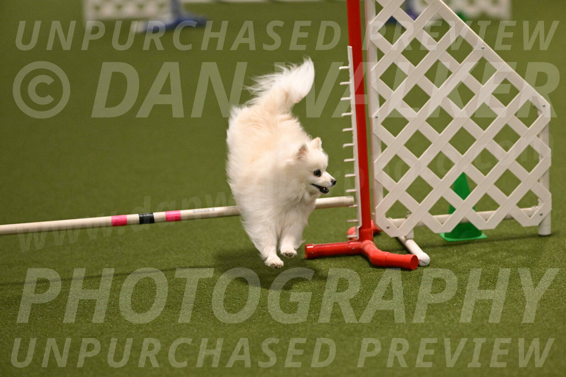 Zoey-Denise-Schneider-08555