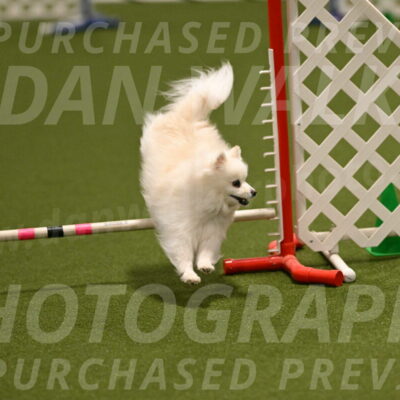 Zoey-Denise-Schneider-08555