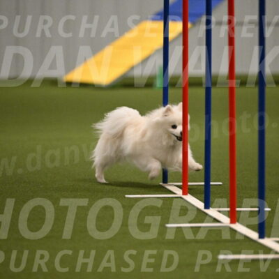 Zoey-Denise-Schneider-08556