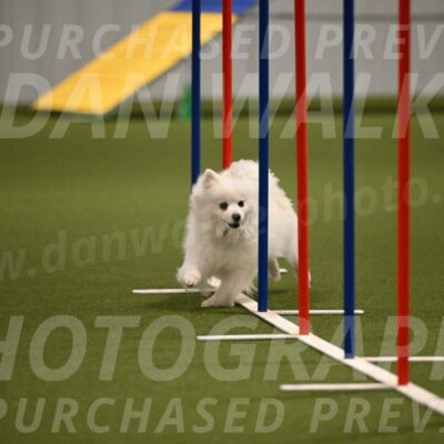 Zoey-Denise-Schneider-08557