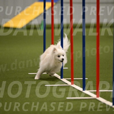 Zoey-Denise-Schneider-08558