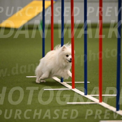 Zoey-Denise-Schneider-08559