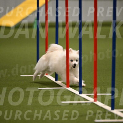 Zoey-Denise-Schneider-08560