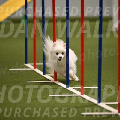 Zoey-Denise-Schneider-08561