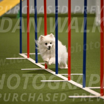 Zoey-Denise-Schneider-08562