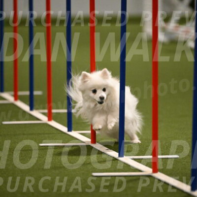 Zoey-Denise-Schneider-08563