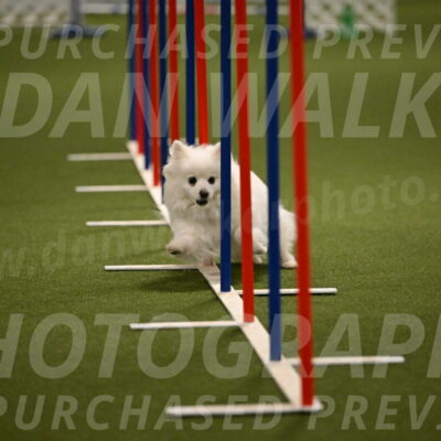 Zoey-Denise-Schneider-08564