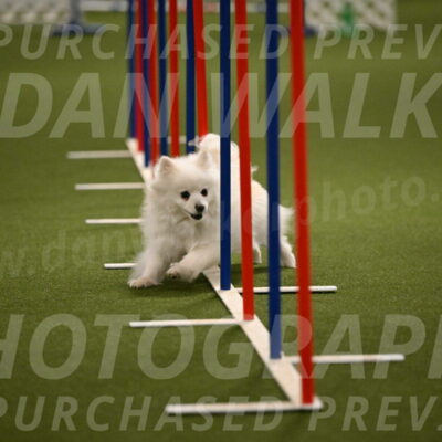 Zoey-Denise-Schneider-08565