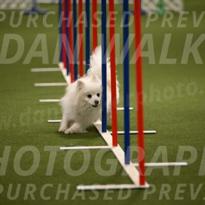 Zoey-Denise-Schneider-08566