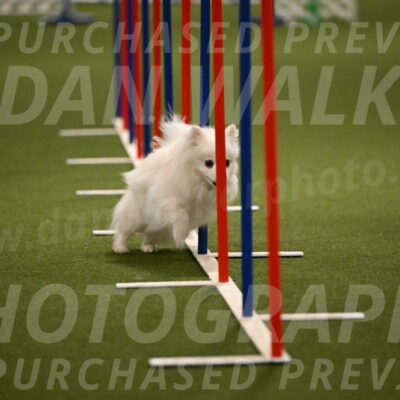 Zoey-Denise-Schneider-08567