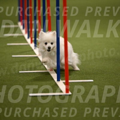 Zoey-Denise-Schneider-08568