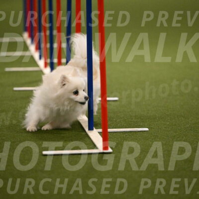 Zoey-Denise-Schneider-08569