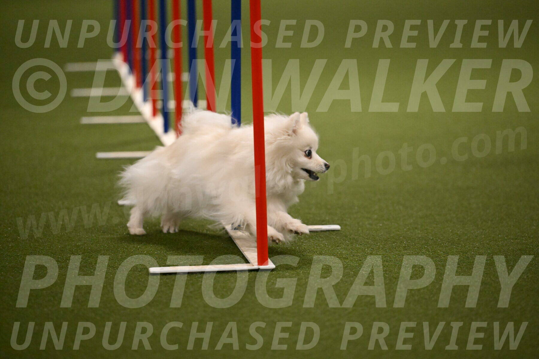 Zoey-Denise-Schneider-08570