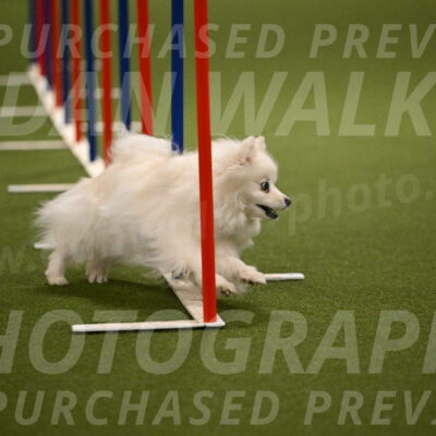 Zoey-Denise-Schneider-08570