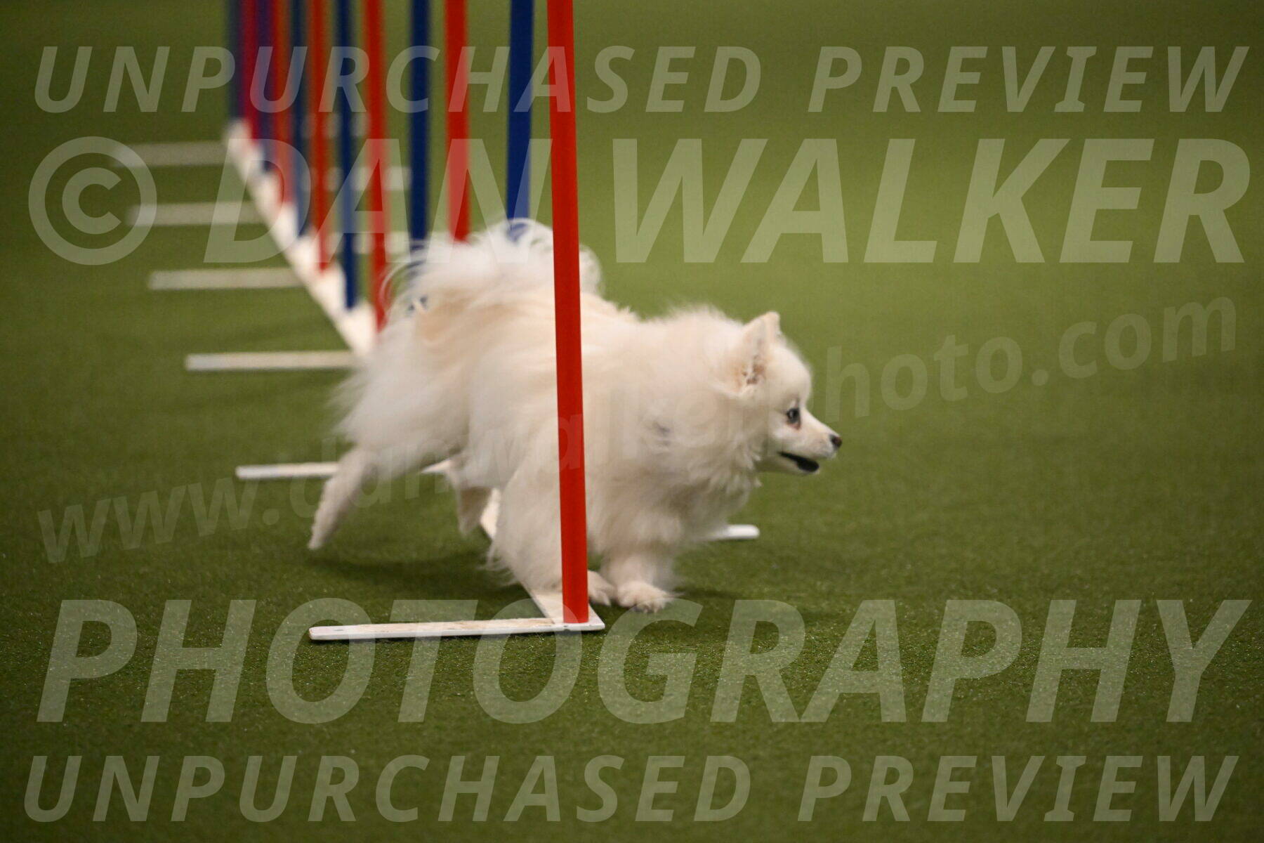 Zoey-Denise-Schneider-08571