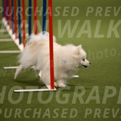 Zoey-Denise-Schneider-08571