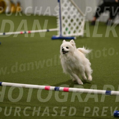 Zoey-Denise-Schneider-08572