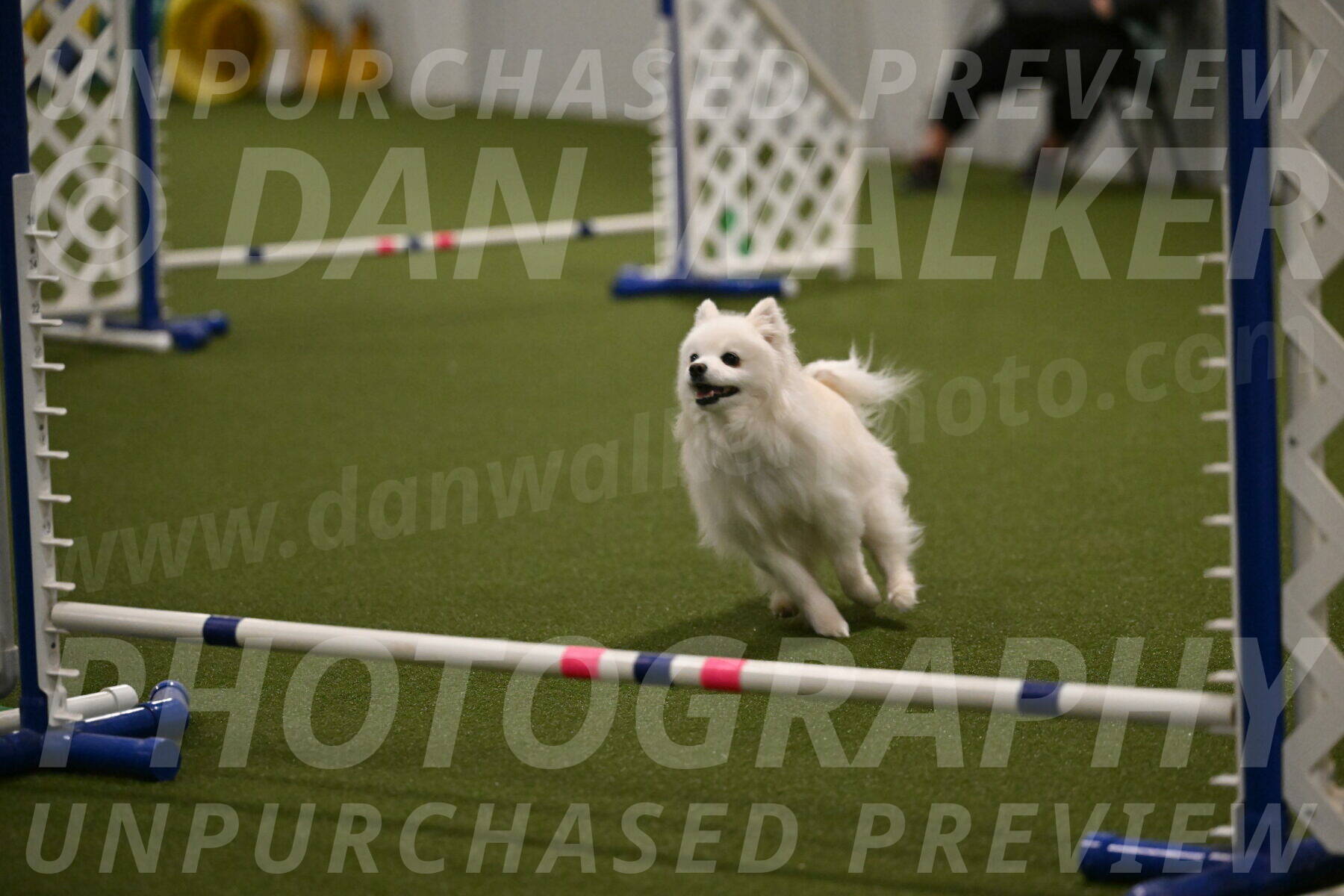 Zoey-Denise-Schneider-08572