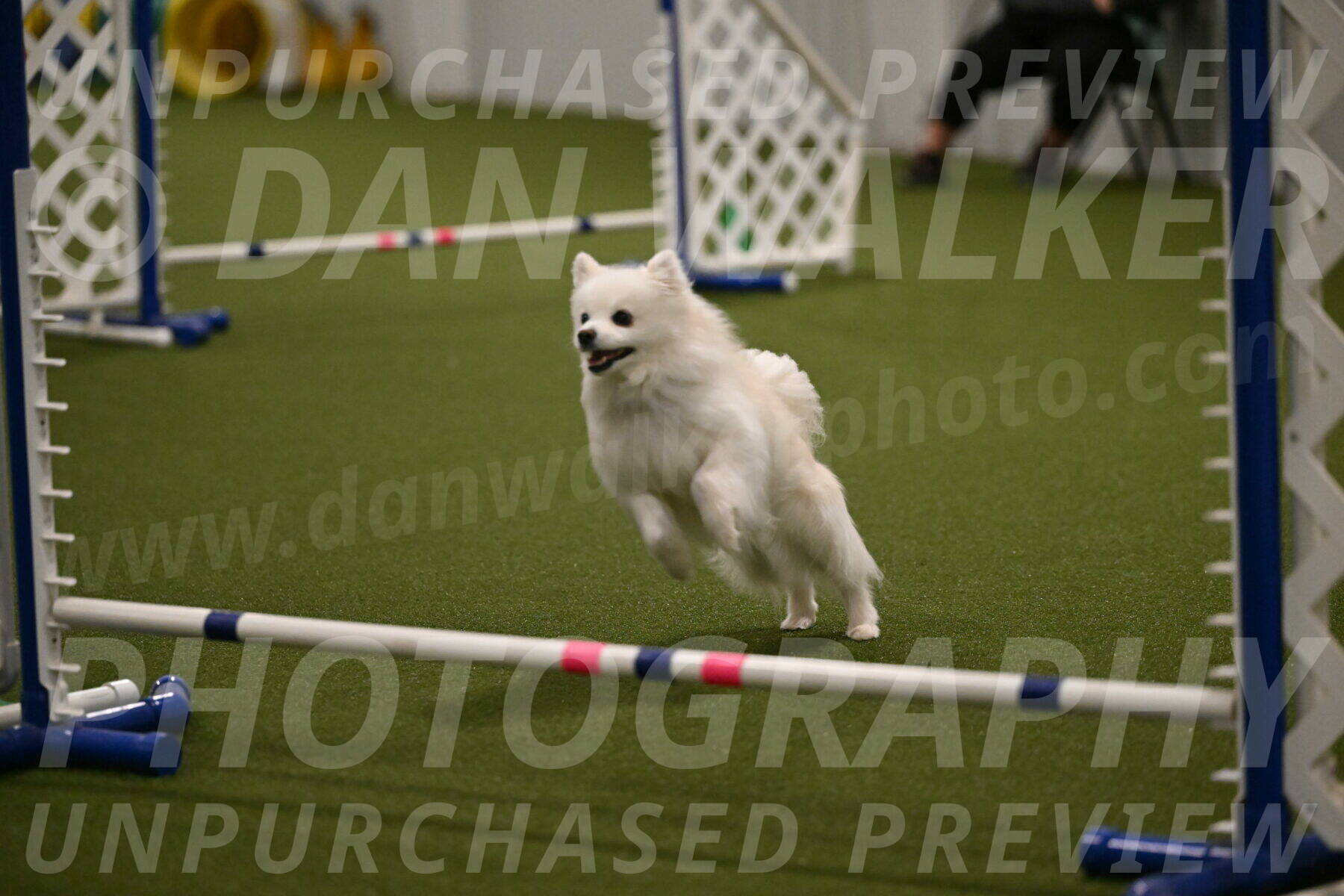 Zoey-Denise-Schneider-08573