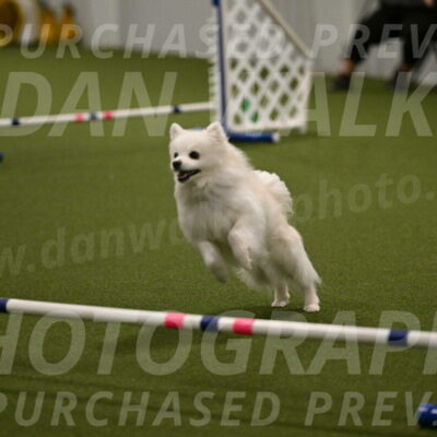 Zoey-Denise-Schneider-08573