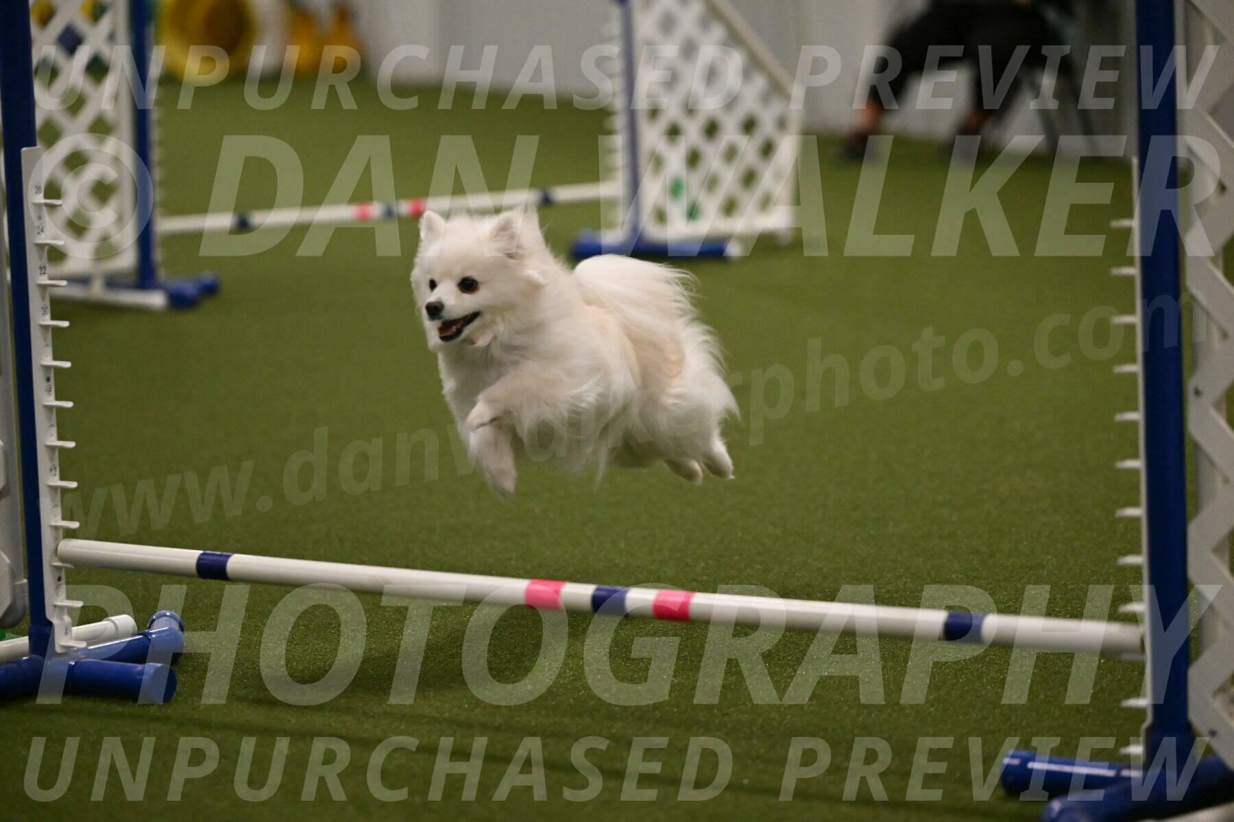 Zoey-Denise-Schneider-08574