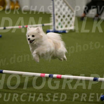 Zoey-Denise-Schneider-08574