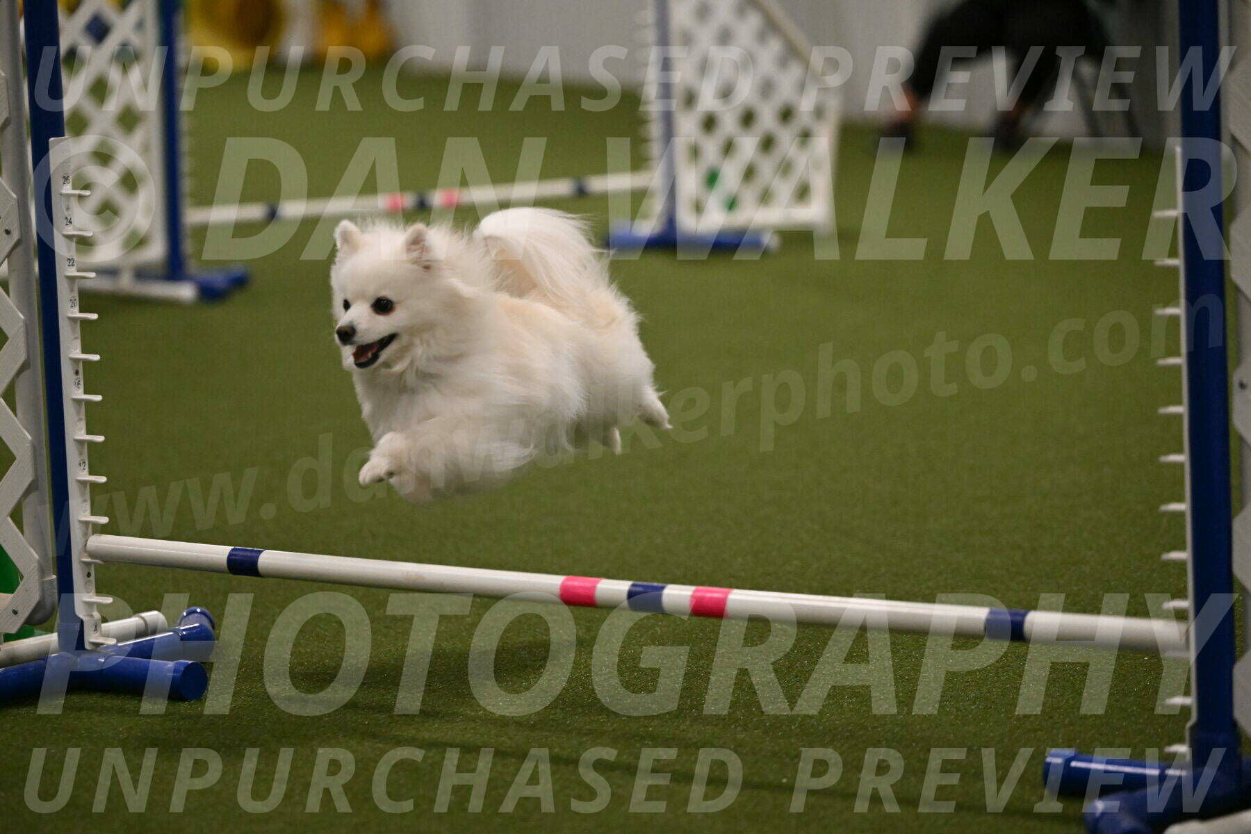 Zoey-Denise-Schneider-08575