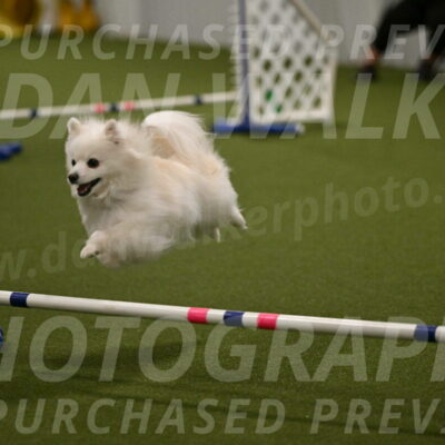 Zoey-Denise-Schneider-08575