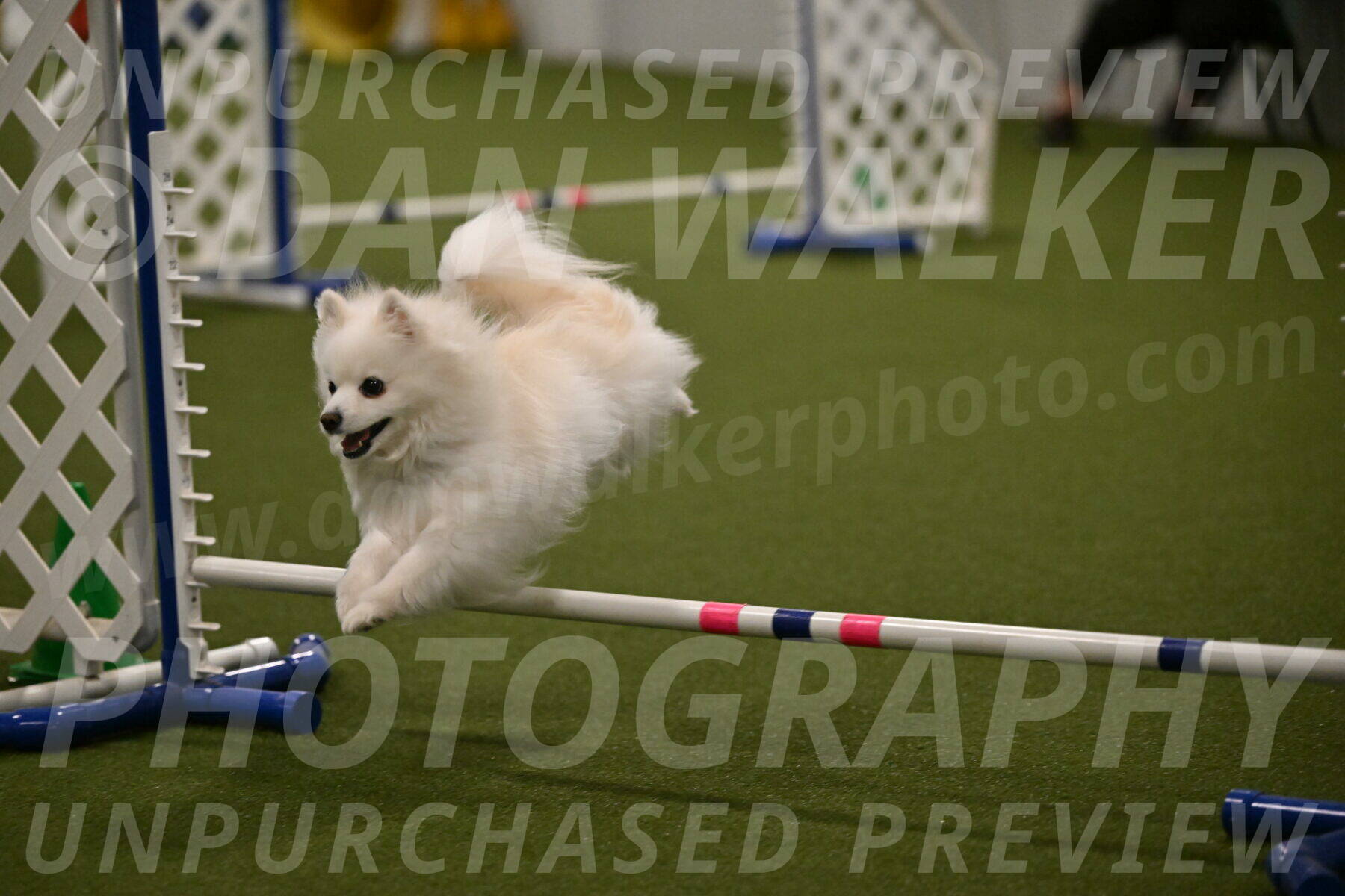 Zoey-Denise-Schneider-08576