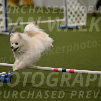 Zoey-Denise-Schneider-08576