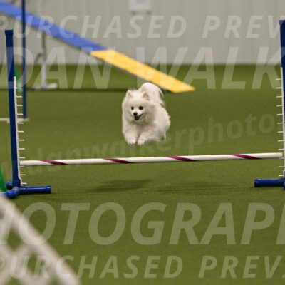 Zoey-Denise-Schneider-08577